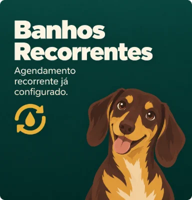 Banhos recorrentes: agendamento recorrente já configurado, com a ilustração de um dachshund