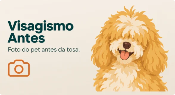 Visagismo antes: ilustração de um poodle com o pelo comprido e desgrenhado, antes da tosa