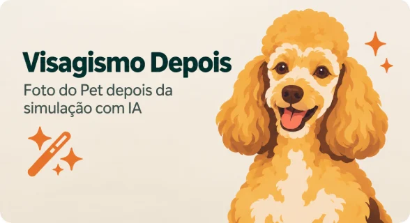 Visagismo depois: o mesmo poodle com a tosa pronta, na prévia simulada pela IA do app